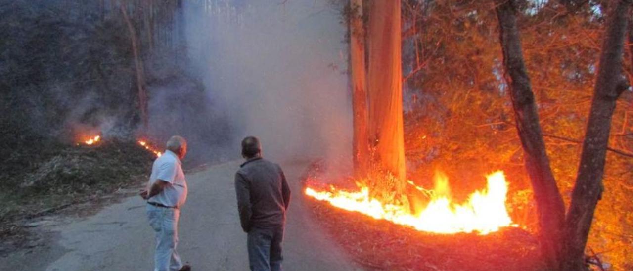 El incendio que arrasó 200 hectáreas del monte Río Nueva el pasado mes de diciembre.