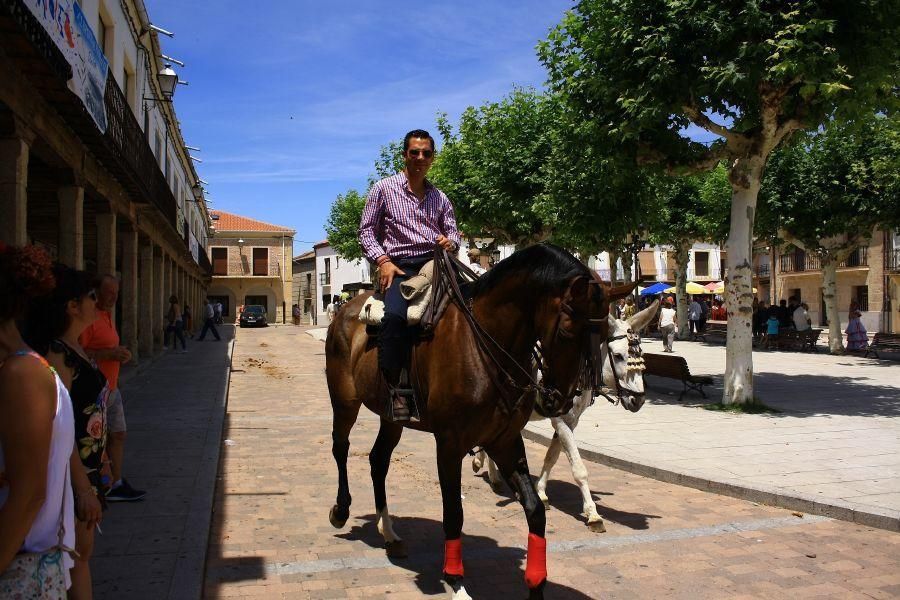 Feria del caballo en Fuentesaúco