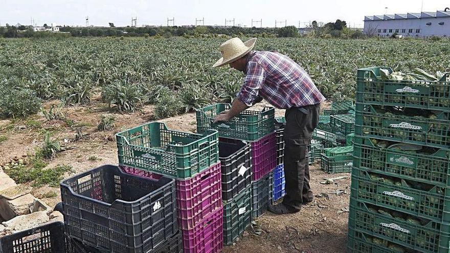 Un agricultor trabaja en la huerta valenciana durante el período de confinamiento.