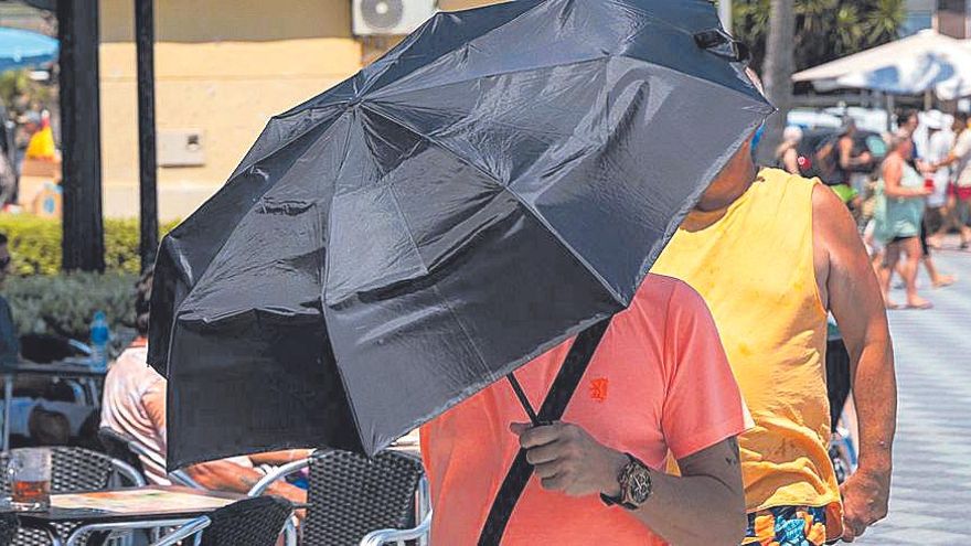 El calor no da tregua y podría llegar a los 40 grados este domingo