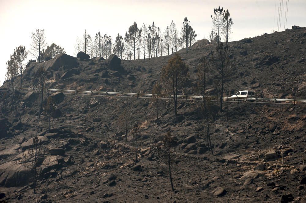El fuego arrasa 3.000 hectáreas en Ourense