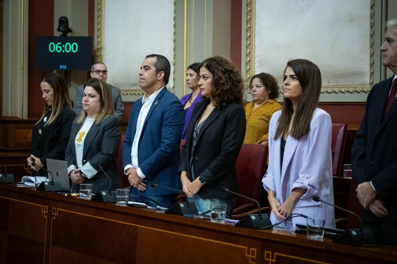 Pleno del Ayuntamiento de Santa Cruz de Tenerife del 29 de noviembre de 2024