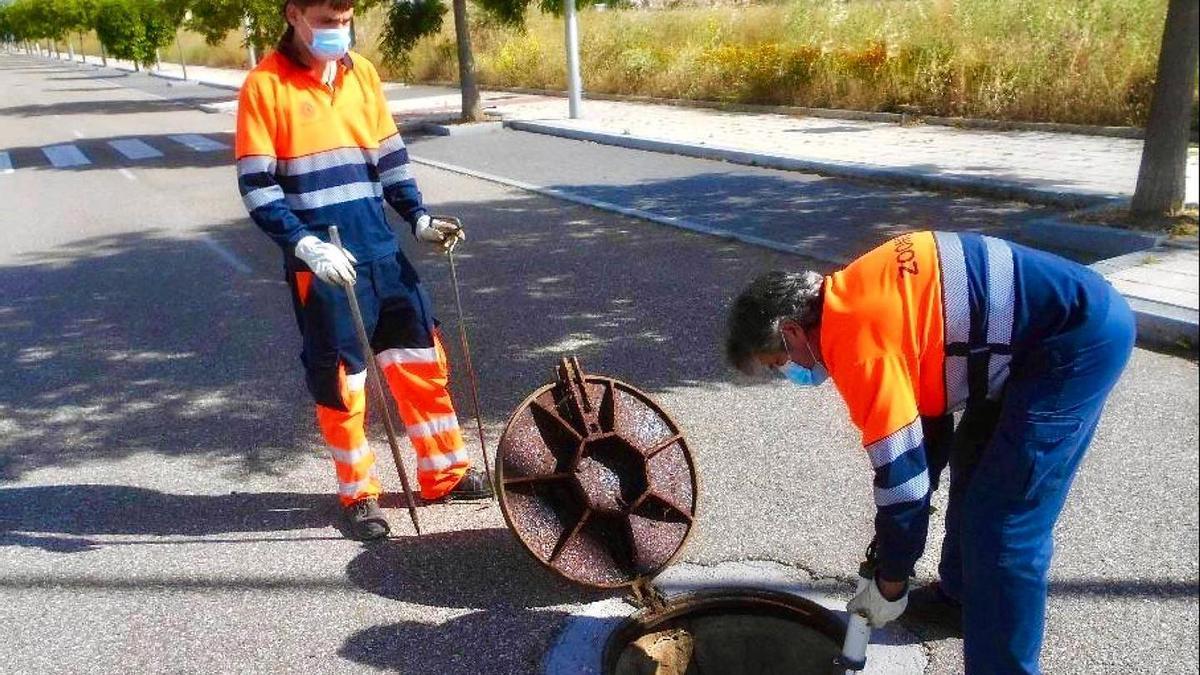 Operarios aplican un tratamiento en el alcantarillado del sector 3, en Torrenostra.