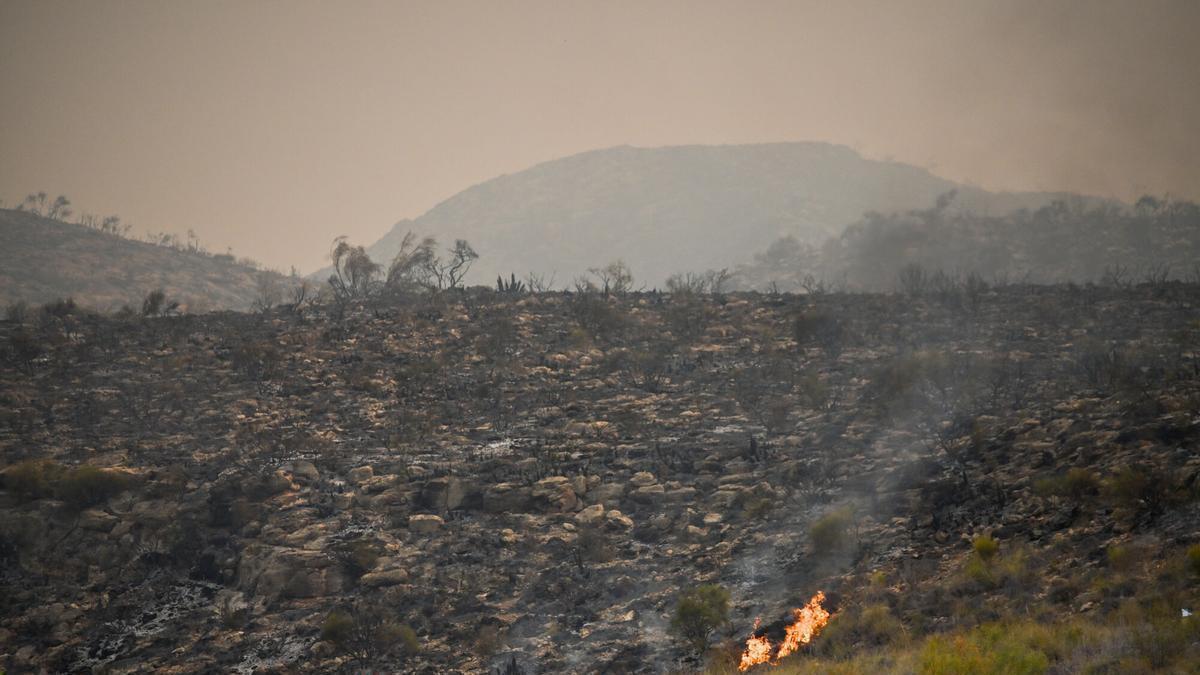 El fuego se descontrola en Los Gallardos, Almería