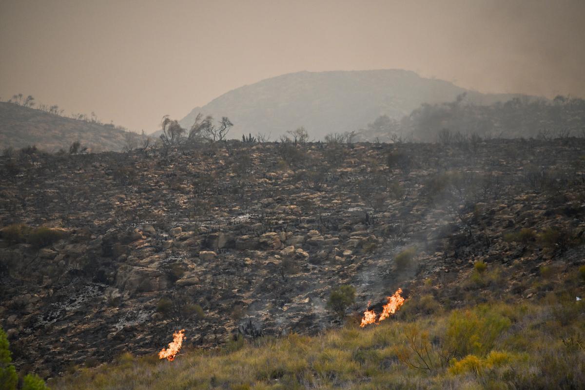 Vista de uno de los focos del incendio forestal declarado en Los Gallardos, Almería