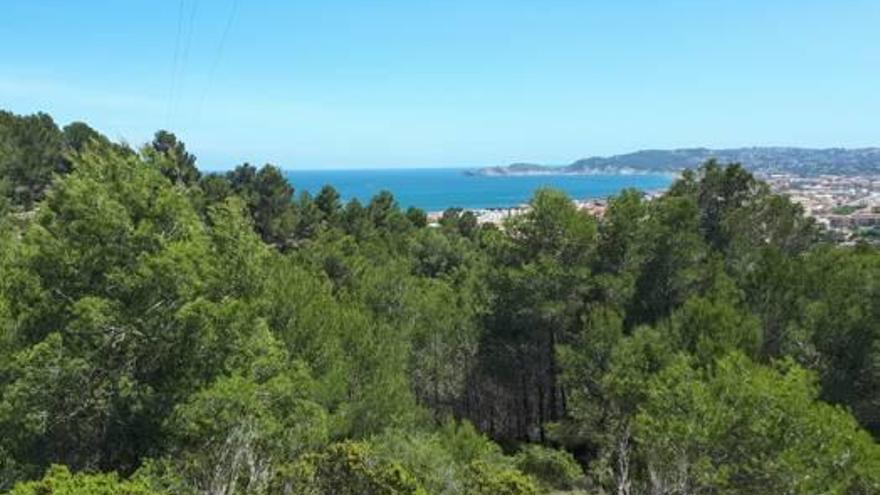 El alcalde de Xàbia promete crear un parque público en una ladera virgen junto a la Corona