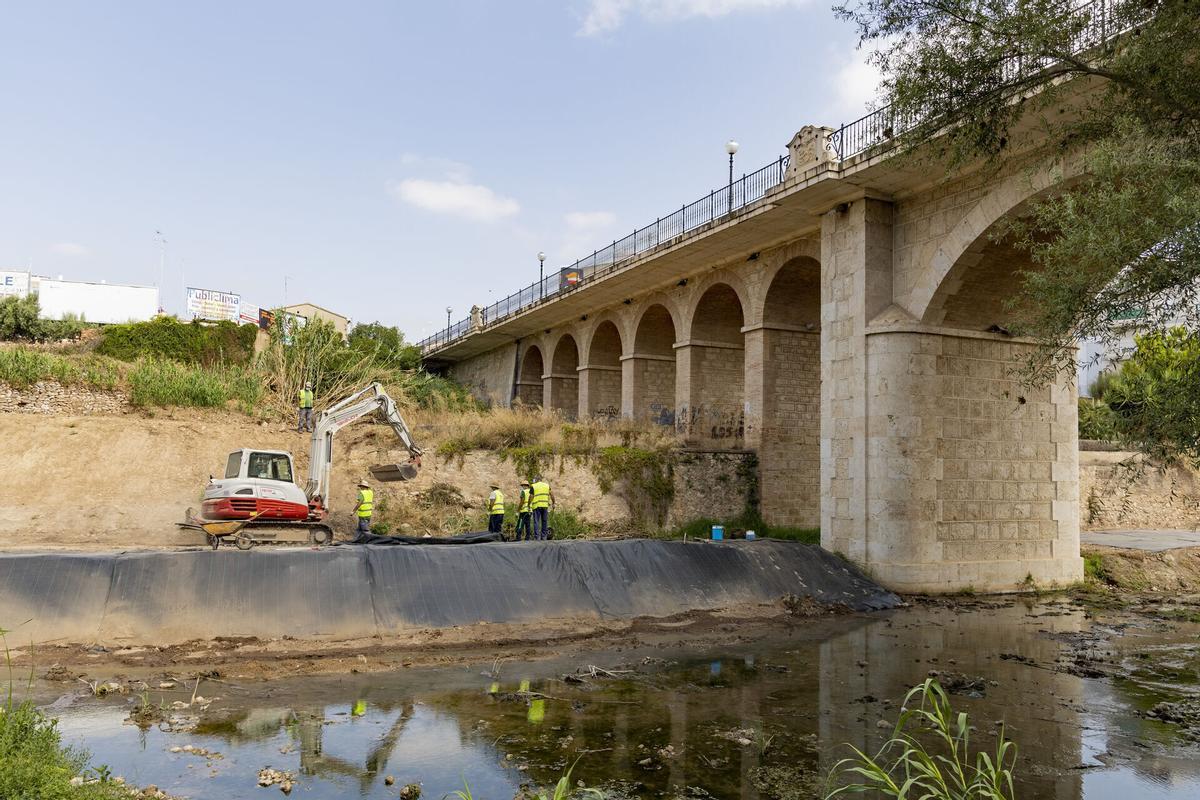 Limpieza barranco de Picassent.
