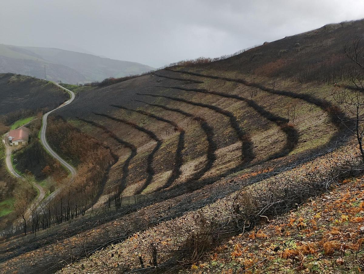 Las barreras creadas en el monte cangués sobre la localidad de Fonceca.