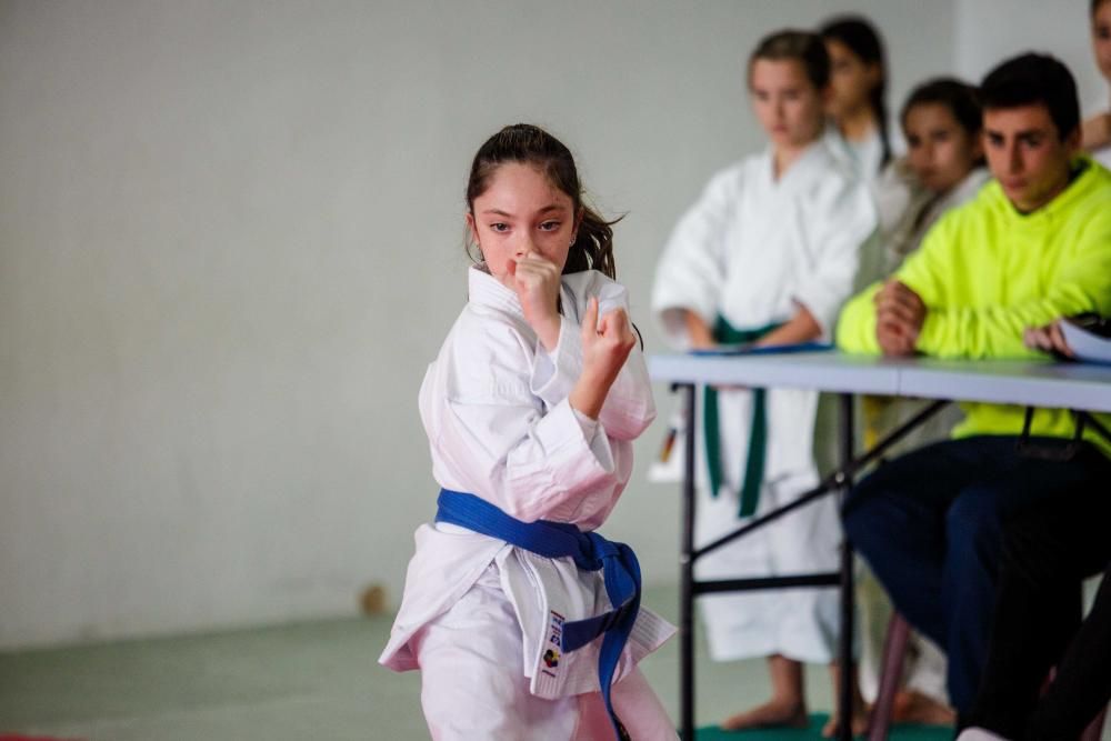 Alrededor de unos 60 karatecas de los diferentes clubes de la isla mostraron en Sant Antoni su nivel en la modalidad de kata