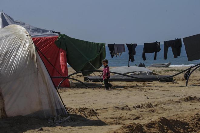 İsrail – Hamas Savaşı, canlı: Gazze'deki savaşın son dakikası bugün, 24 Şubat