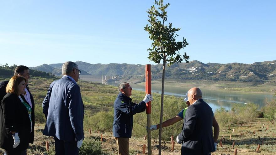 La Diputación reforesta el entorno del pantano de La Viñuela con 41.000 árboles y arbustos