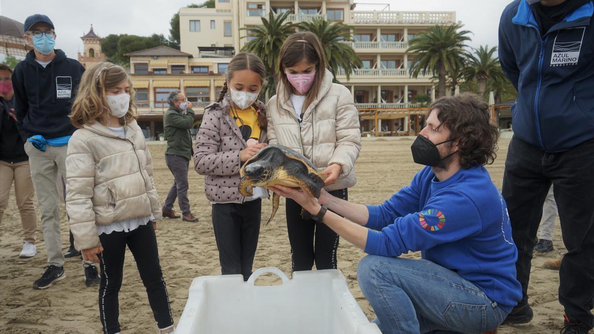 José Luís Crespo muestra una de las tortugas marinas antes de ser soltada al mar en la playa del Voramar de Benicàssim.