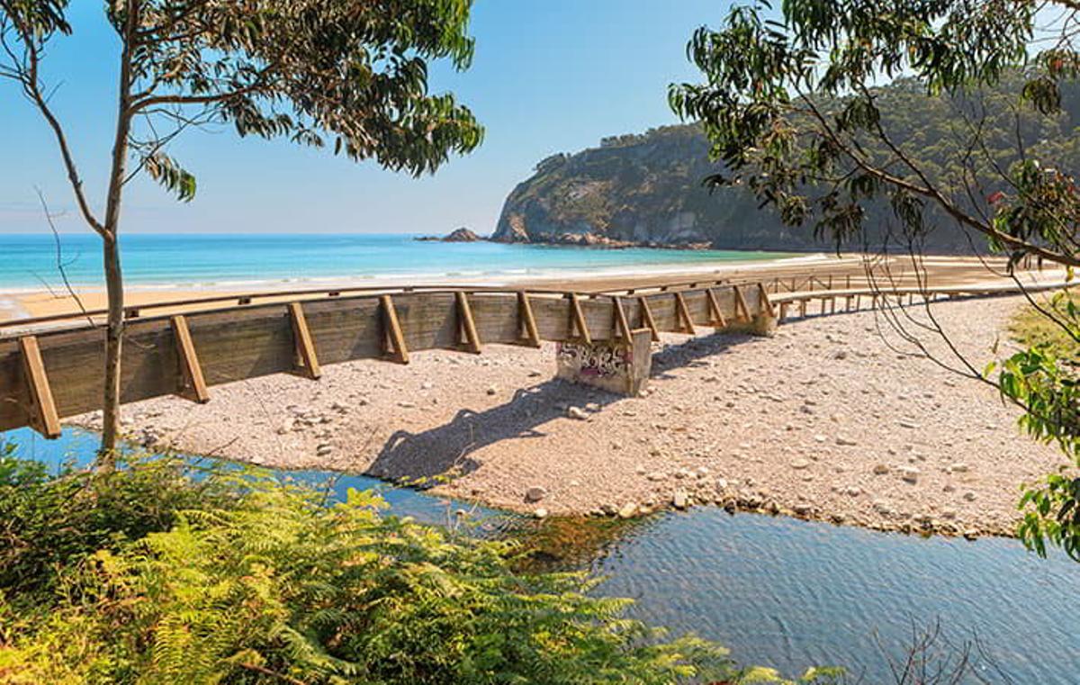 Playa Concha de Artedo