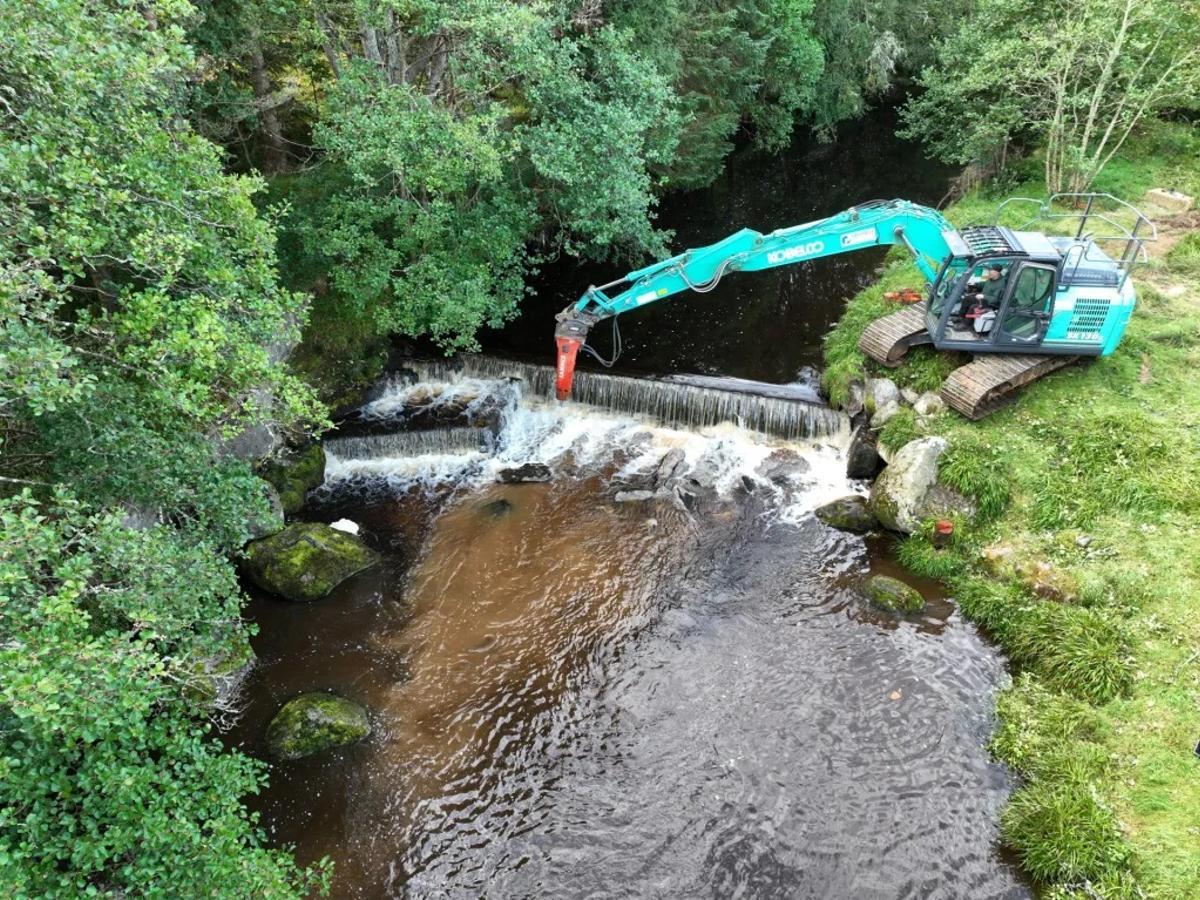 Eliminación de una barrera artificial en un río