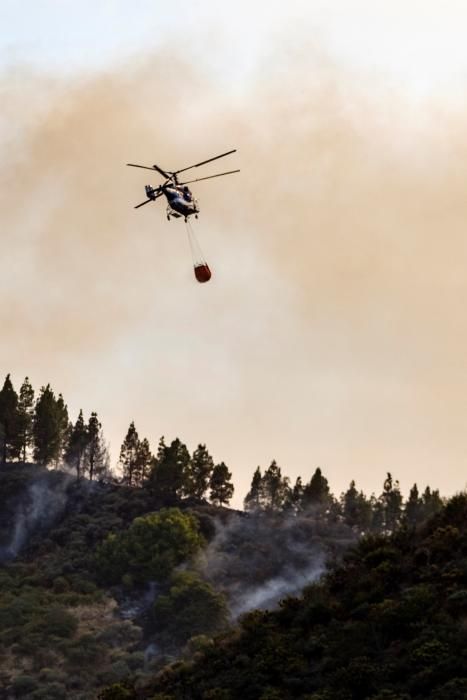 Nuevo incendio forestal en Gran Canaria