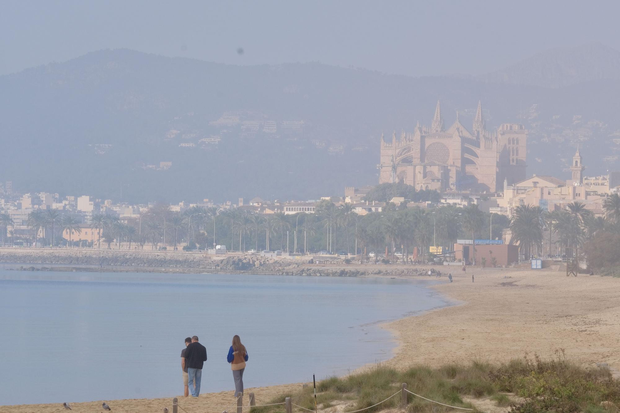 FOTOS | Mallorca amanece cubierta de niebla