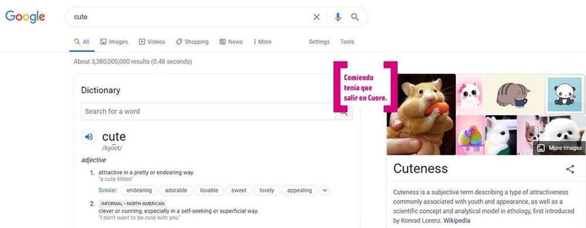 Búsqueda de la palabra cute en Google