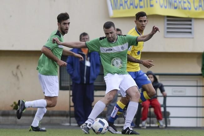 UD TEROR - UDLP