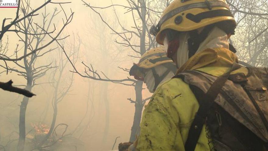 Un incendio asola 10 hectáreas de pinar entre Montán y Fuente la Reina