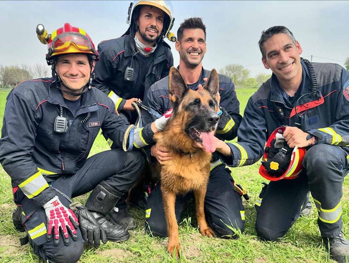 Los bomberos de Madrid rescatan a un perro del interior de un pozo