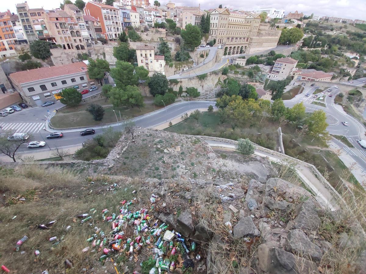 Brutícia al parc de la Seu amb la Cova i el Pont Vell al fons