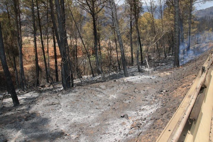 Incendio forestal entre Pinet, La drova y Marxuquera