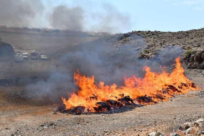 10/04/2019 SAN BARTOLOME DETIRAJANA. Simulacro accidente aéreo del Ejercito del Aire.  Fotógrafa: YAIZA SOCORRO.  | 10/04/2019 | Fotógrafo: Yaiza Socorro