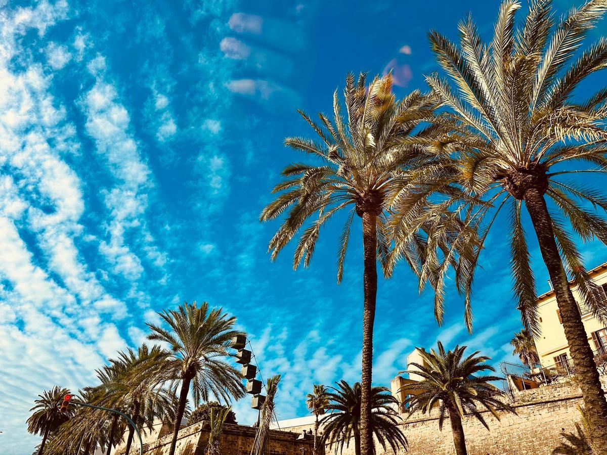 Ganz wolkenlos wird der Himmel in der neuen Woche wohl nicht sein. Zum Wochenbeginn ist die Sonne aber vielerorts Protagonistin am Himmel.