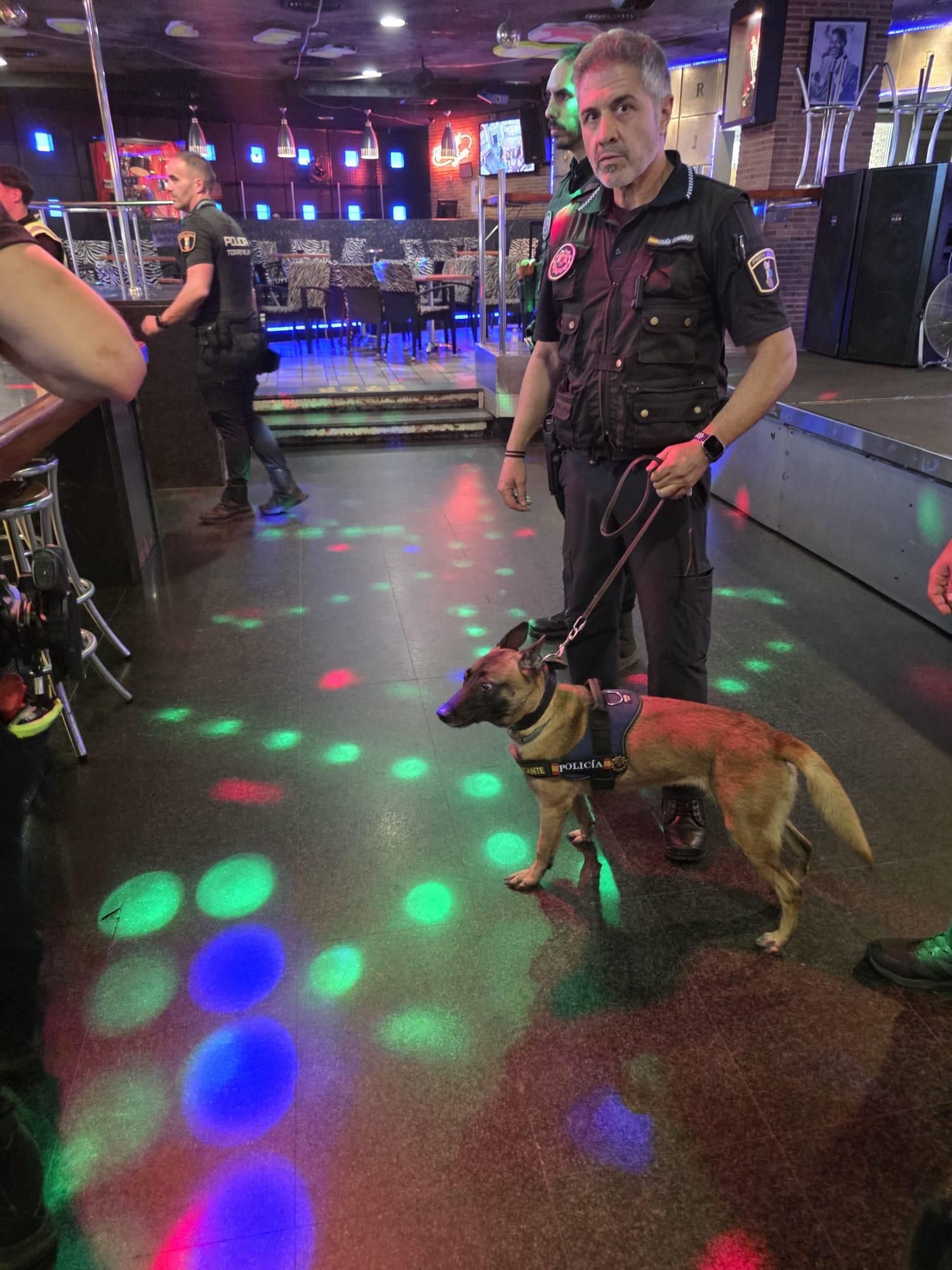 Los perros antidroga “entrenan” con la Policía Local de Benidorm en un pub de la zona inglesa