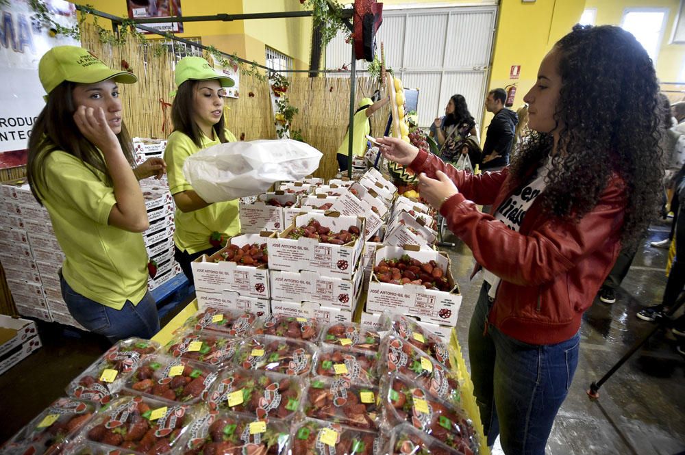 Feria de la fresa de Valsequillo, 2017