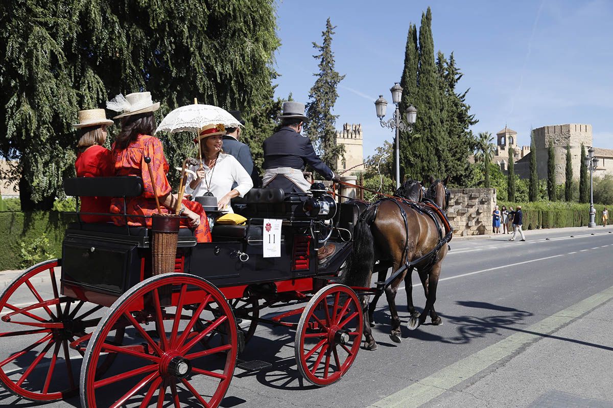 Concurso de atalaje de Córdoba en Cabalcor