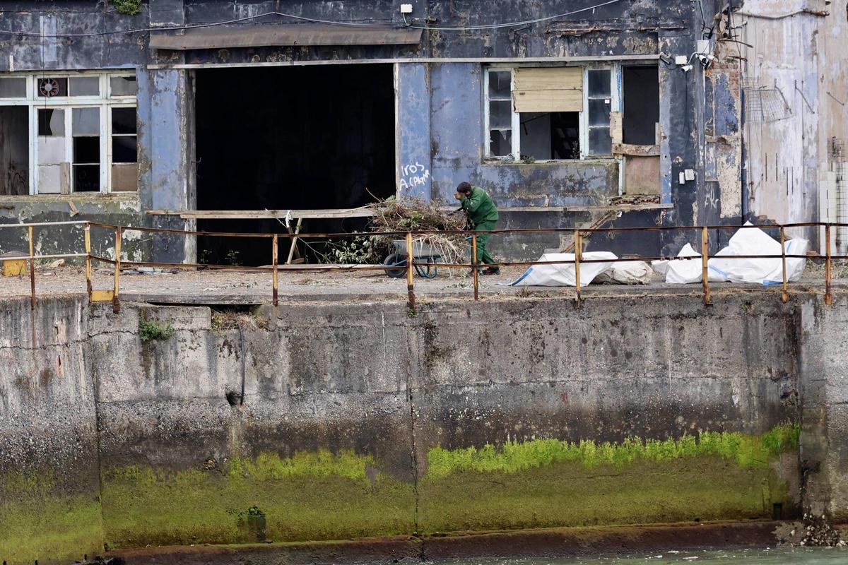 Pymar arranca los trabajos de limpieza en sus terrenos de Naval Gijón (en imágenes)