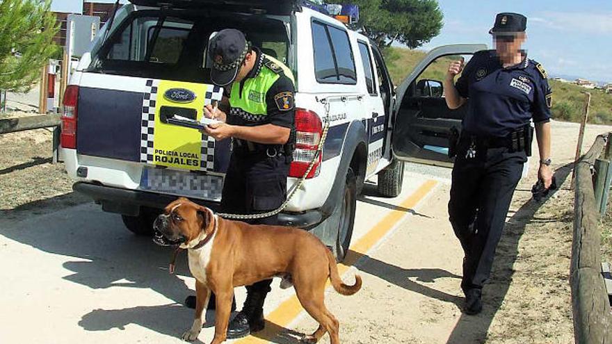 Localizan un perro de raza peligrosa en el Recorral