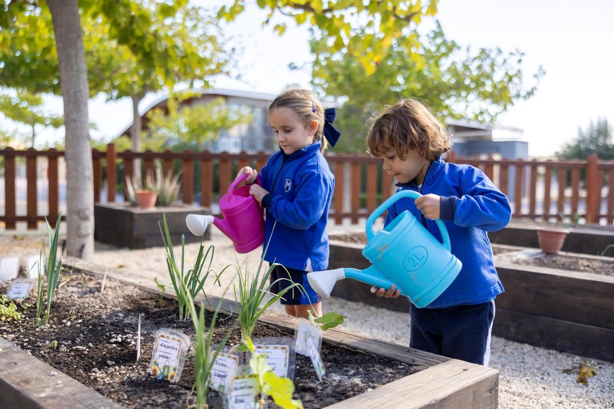 En Infantil, el programa educativo estimula la curiosidad y la creatividad.
