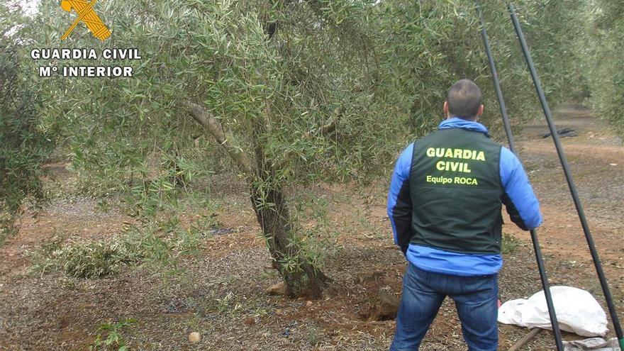 Dos detenidos en Córdoba por tres robos en fincas agrícolas de Montoro