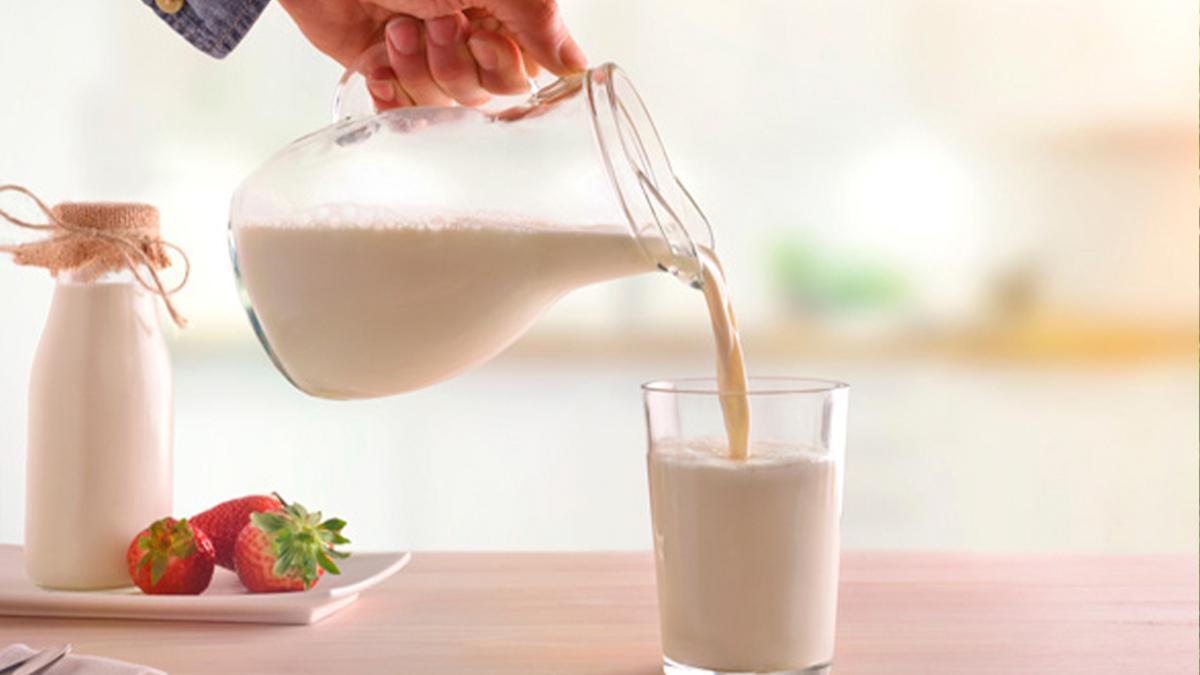 Descubre cuáles son las principales diferencias entre la lactosa y proteína de la leche