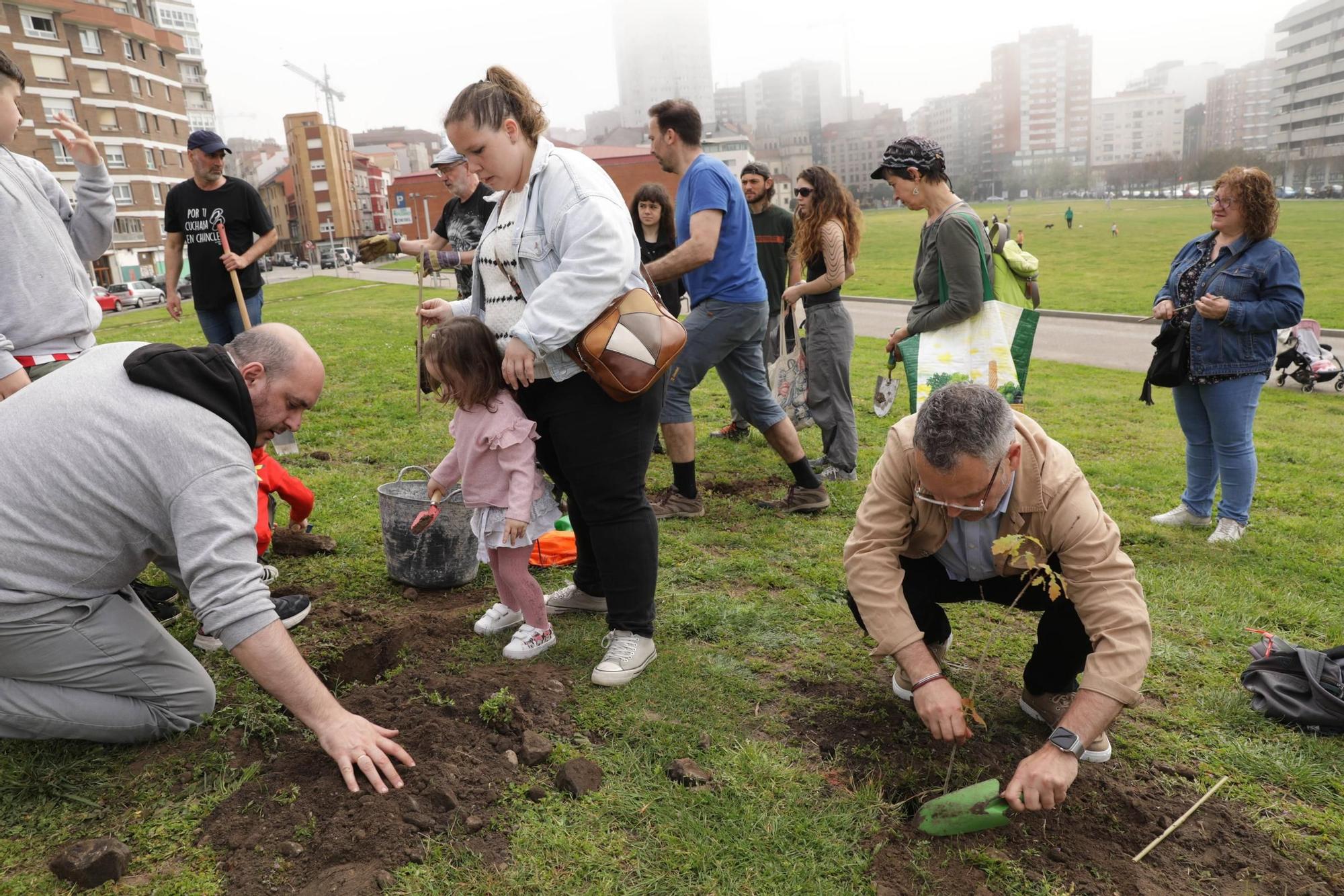 Así fue la plantación de árboles en el Solarón (en imágenes)