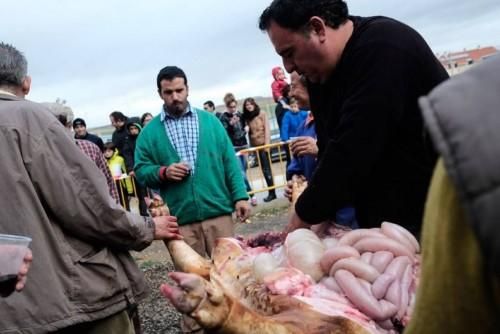 Matanza tradicional en Monfarracinos