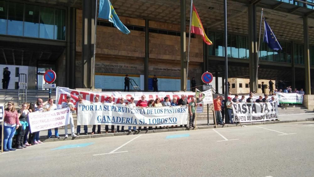 Manifestación de ganaderos en Oviedo