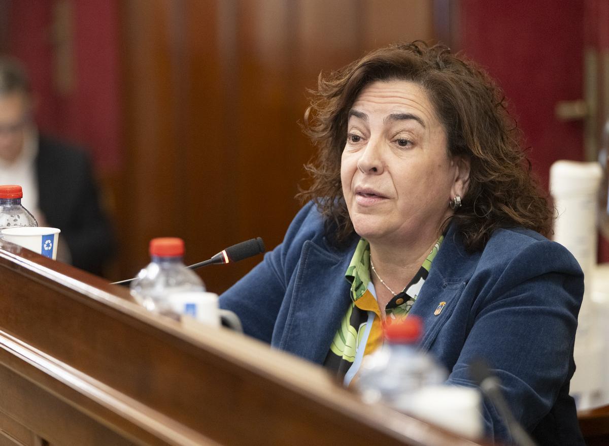 Marisa Torlà, en un pleno de la Diputación