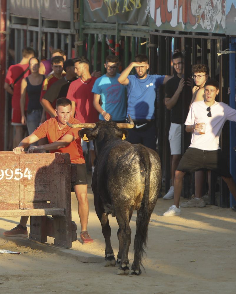 Actos taurinos en las fiestas de Sagunt.