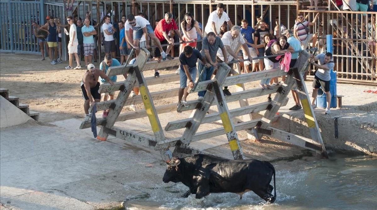 Correbous en Les Cases d’Alcanar.