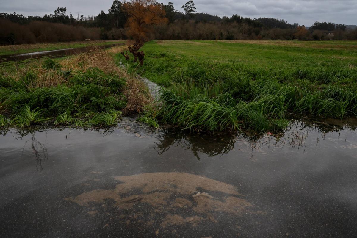 La huella de la borrasca Ingrid en la comarca.
