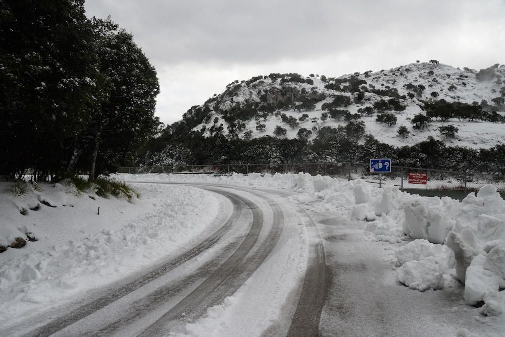 Der frühe Schnee hat am Samstag (2.12.) zahlreiche Insulaner in die Tramuntana gelockt, wo es die seltene Gelegenheit zu Schneeballschlachten oder zum Bau von Schneemännern gab.