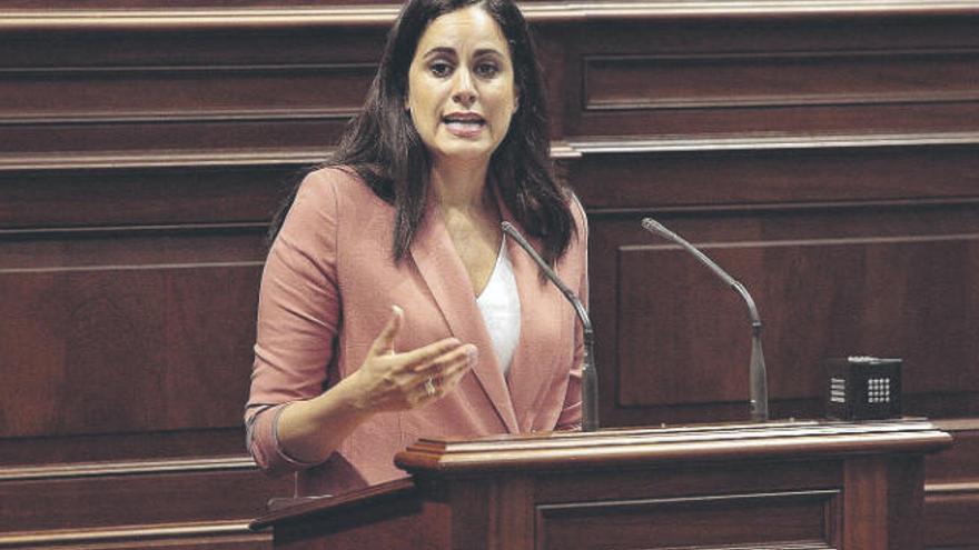 Vidina Espino (Ciudadanos), durante una intervención en el Parlamento de Canarias.