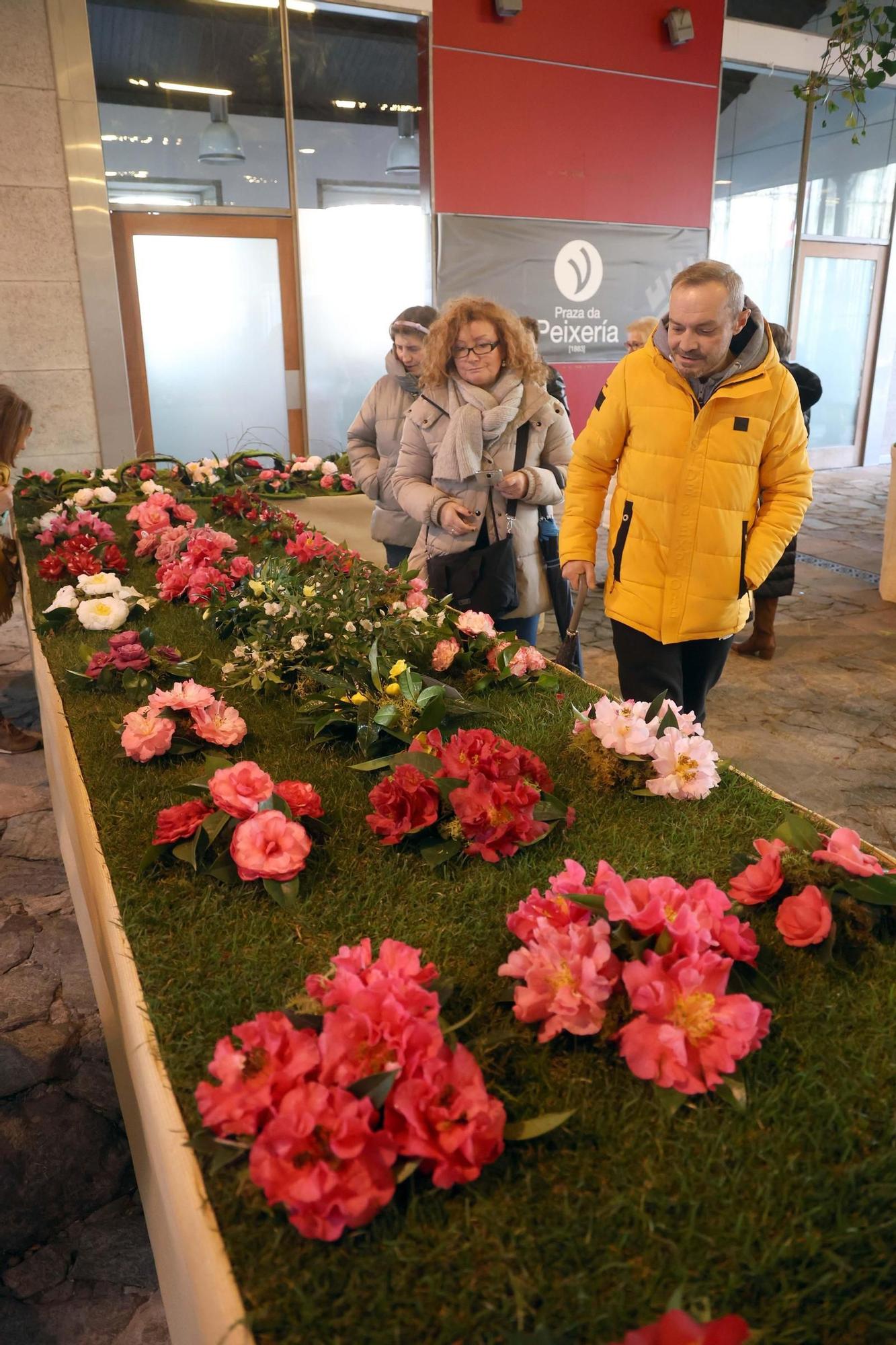 Así fue la 59 exposición internacional de la camelia, en Vilagarcía.