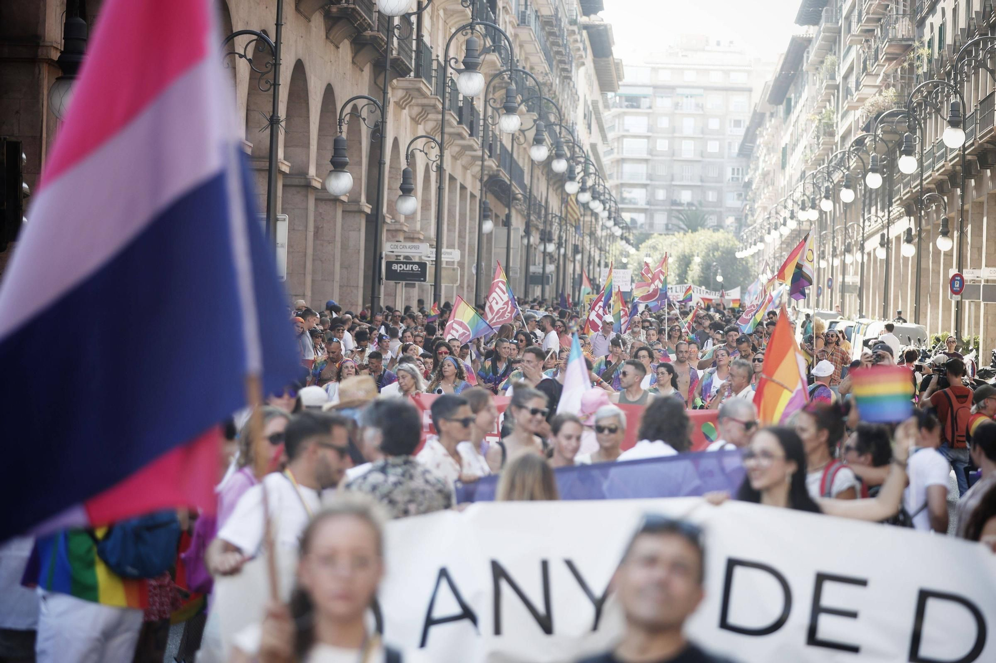 Orgullo 2025: las imágenes de las manifestaciones de Palma