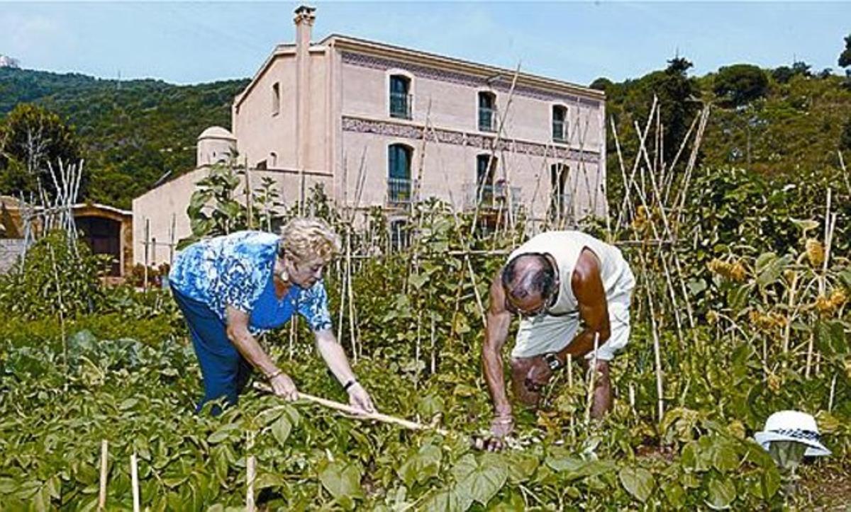 Llibres i fons audiovisual Masies reinventades Referent culinari Projecte educatiu Unes 1.500 entitats Formació professional Art floral i jardineria_MEDIA_7