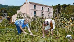 Llibres i fons audiovisual Masies reinventades Referent culinari Projecte educatiu Unes 1.500 entitats Formació professional Art floral i jardineria_MEDIA_7