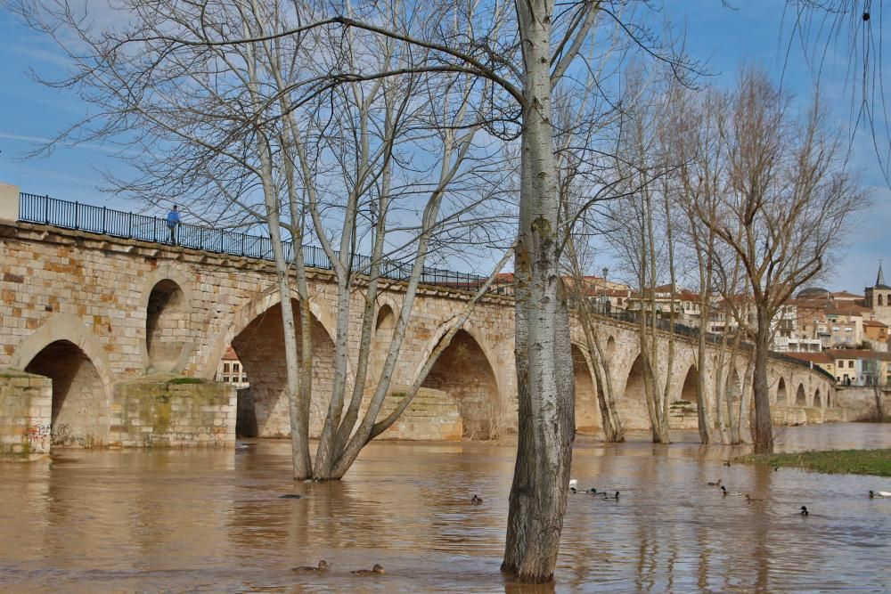 El aspecto del Duero tras las últimas avenidas